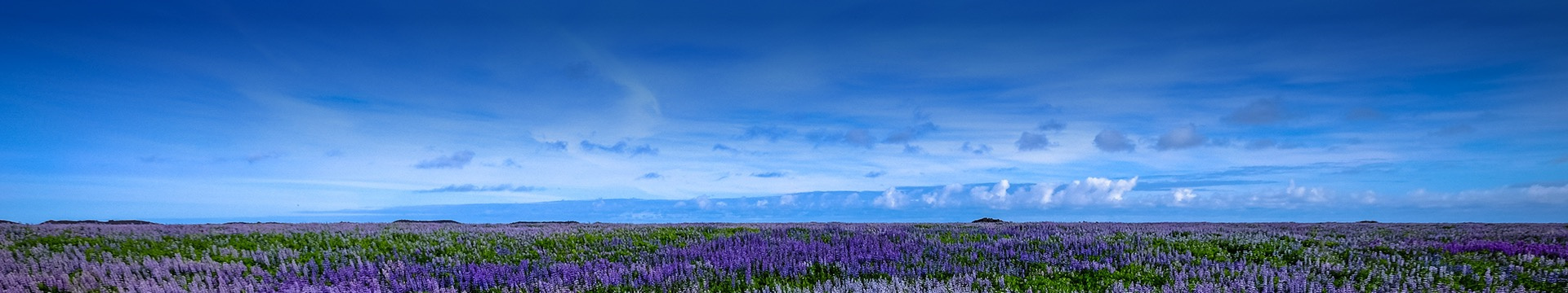 江阴花山公墓